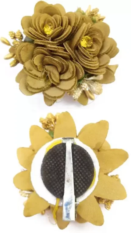 Hair Clips For Girls and Women